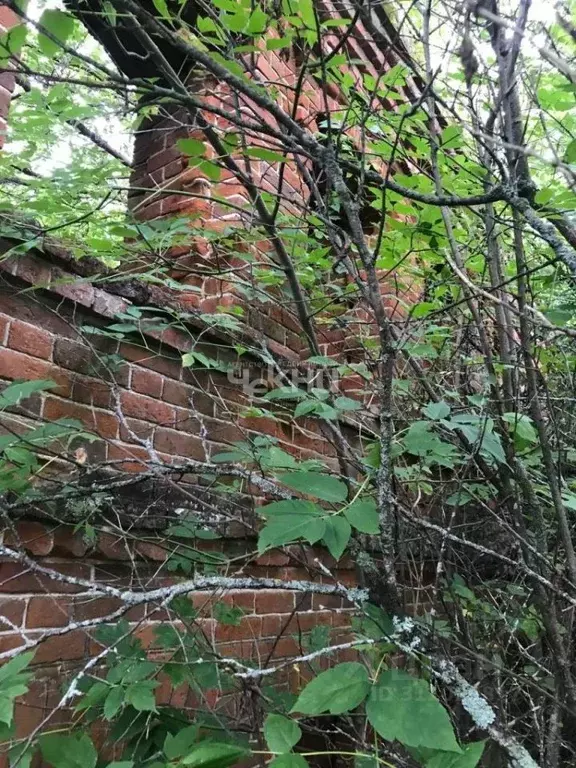 Дом в Нижегородская область, Шатковский муниципальный округ, с. Новое ... - Фото 1