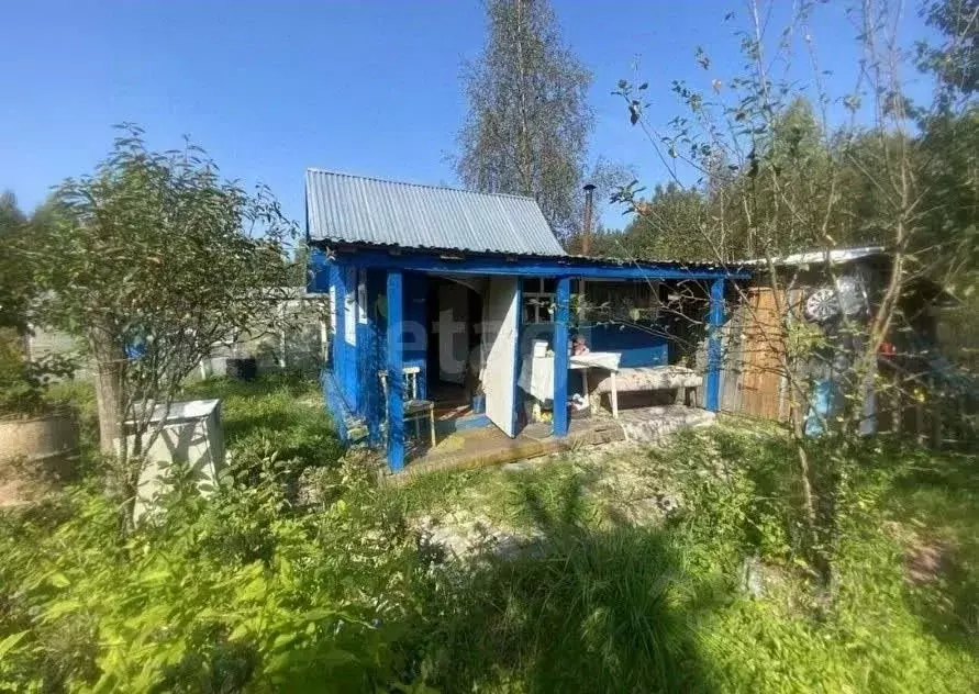 Дом в Вологодская область, Вологда Вологжанка садоводческое ... - Фото 1