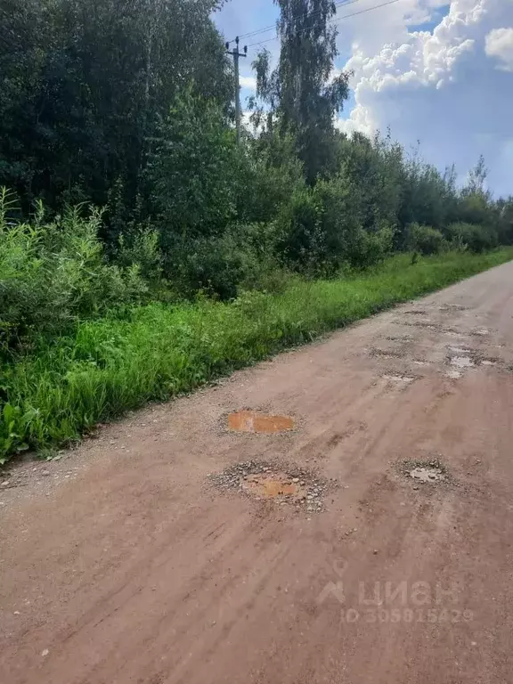 Участок в Новгородская область, Старорусский район, Великосельское ... - Фото 1