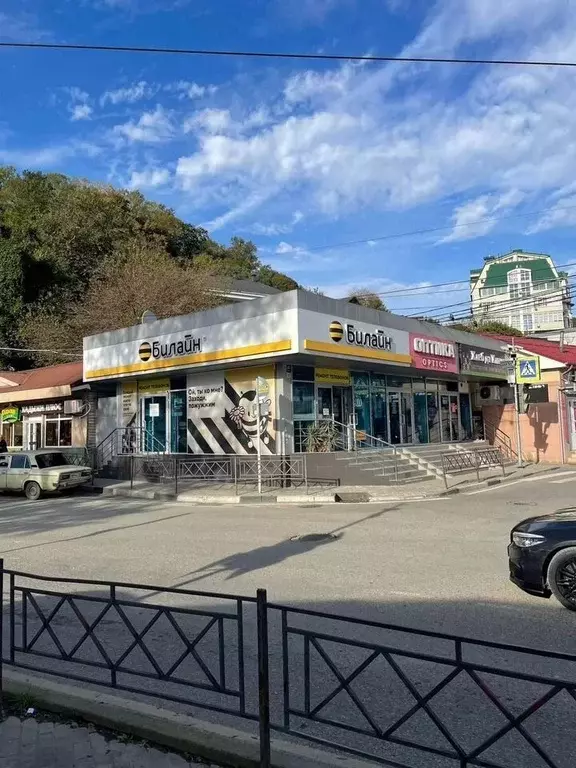 Помещение свободного назначения в Краснодарский край, Сочи Сухумское ... - Фото 1