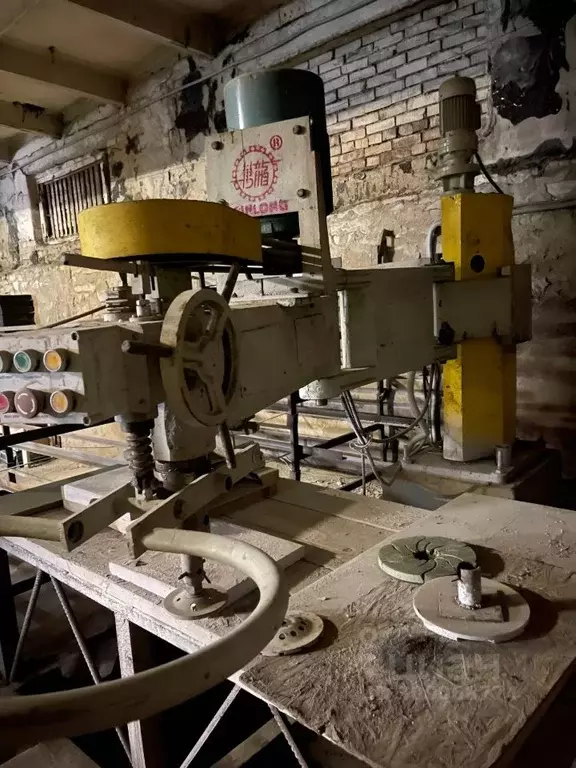 Производственное помещение в Псковская область, Псков ул. Яна Райниса, ... - Фото 2