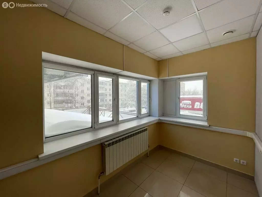 Офис (31.2 м) - Фото 2