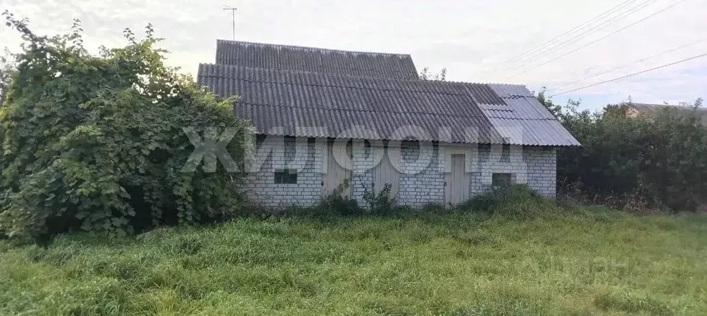 Участок в Брянская область, Погар рп ул. Южная (10.0 сот.) - Фото 2