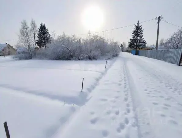 Участок в Ленинградская область, Киришский район, Кусинское с/пос, ... - Фото 1