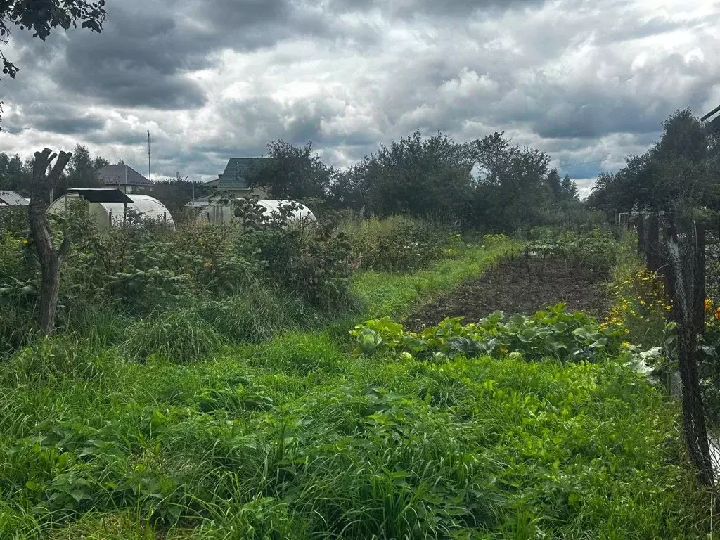 Участок в Московская область, Ступино городской округ, с. Ивановское  ... - Фото 1