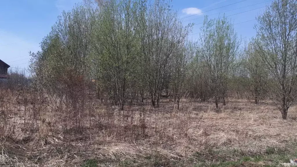 Участок в Владимирская область, Суздальский район, Новоалександровское ... - Фото 1