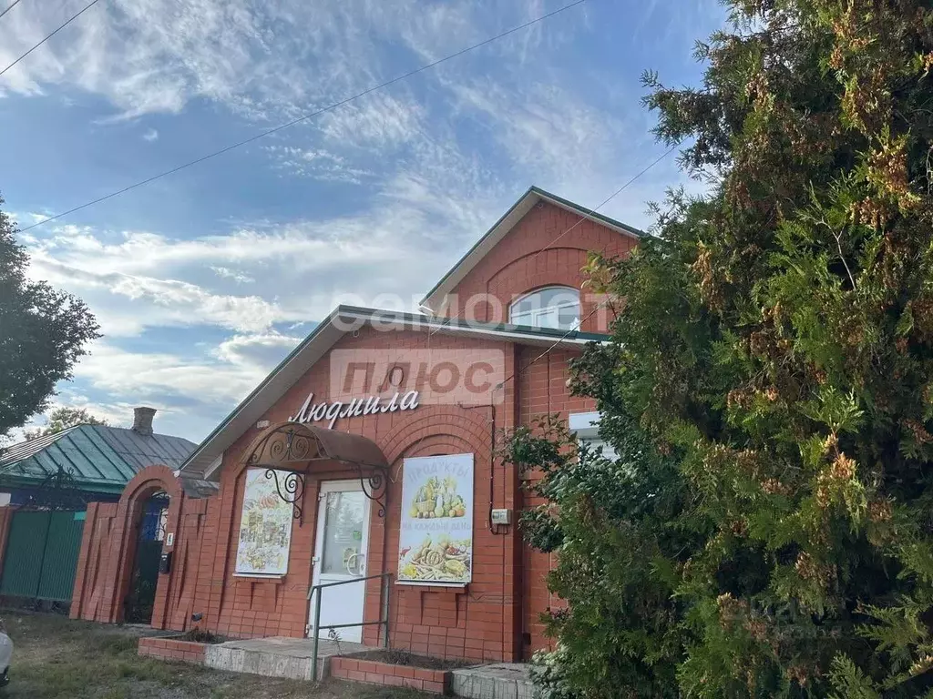 Коттедж в Воронежская область, Острогожск ул. Медведовского, 36 (379 ... - Фото 0