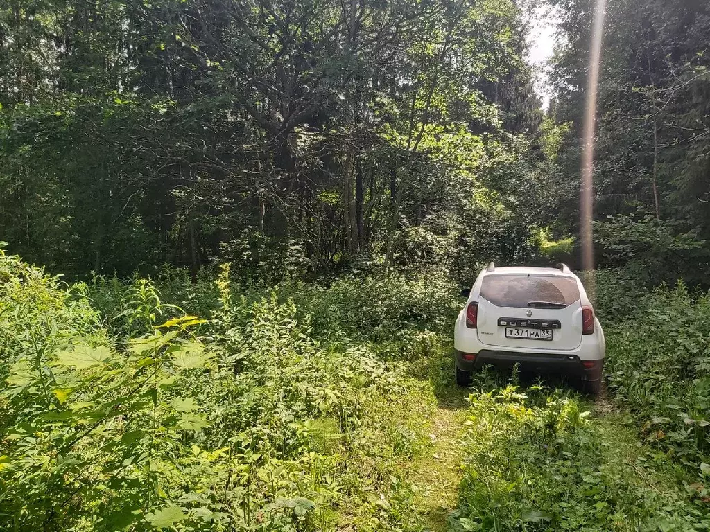 Участок в Владимирская область, Александровский район, Следневское ... - Фото 1