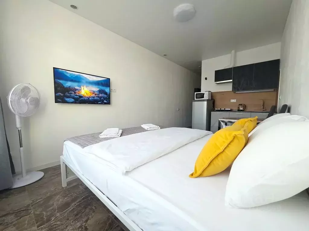 Студия Московская область, Мытищи ул. Колпакова, 44 (23.0 м) - Фото 1