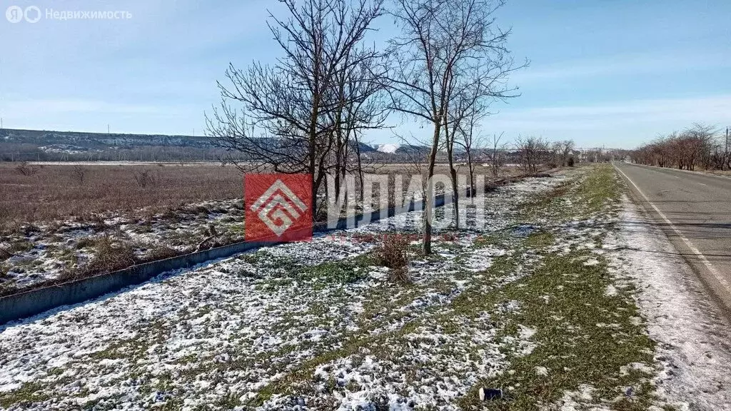 Участок в Песчаное, улица Бабича (45 м) - Фото 2