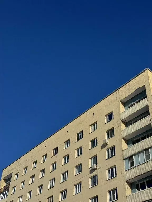 2-к кв. Санкт-Петербург ул. Руставели, 37 (37.0 м) - Фото 1