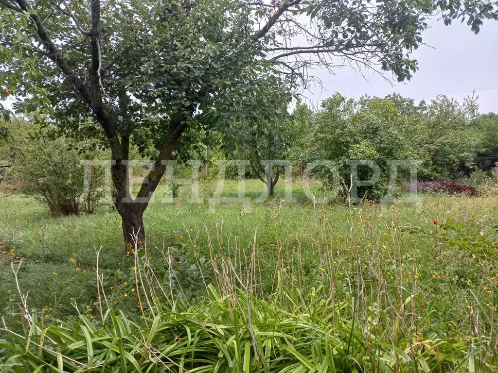 Продам дом большие салы. Снт труд фото новосибирск. Снт дружба ростовская область. Снт дружба ростовская область. Снт дружба ростовская область.