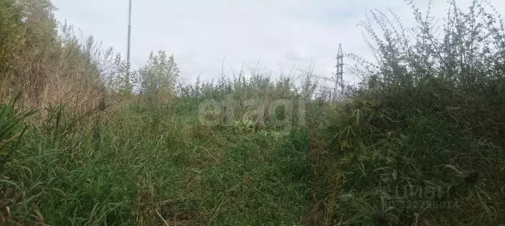 Участок в Алтайский край, Первомайский район, с. Санниково ... - Фото 1