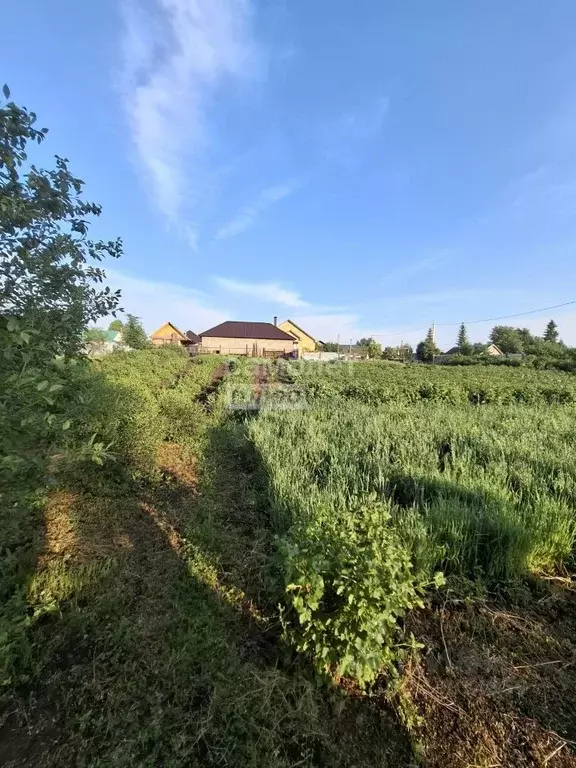 Участок в Башкортостан, Туймазинский район, Каратовский сельсовет, с. ... - Фото 1