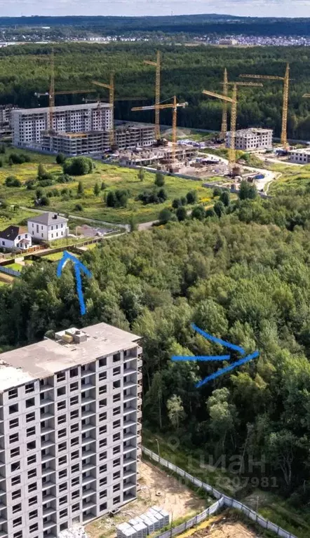 2-к кв. Ленинградская область, Ломоносовский район, Аннинское ... - Фото 1