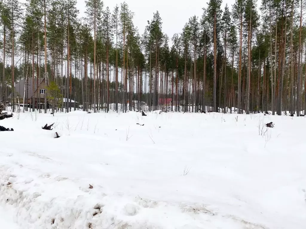 Участок в Коми, Сыктывкар городской округ, Краснозатонский пгт ул. ... - Фото 1