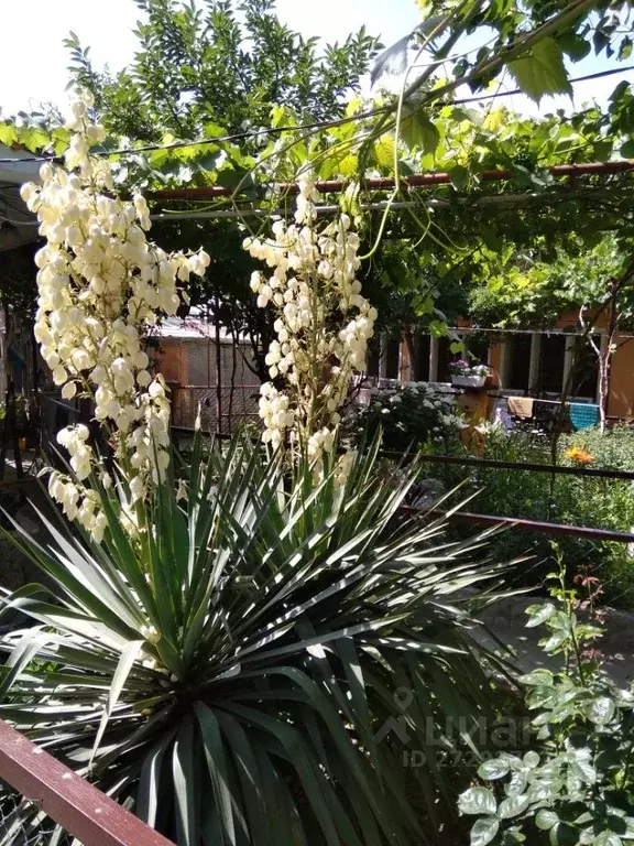 Комната Крым, Феодосия ул. Победы, 7 - Фото 2