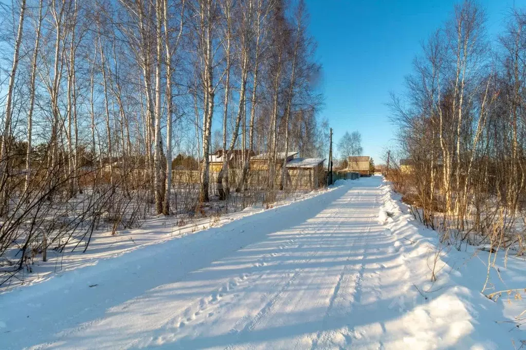 Участок в Тюменская область, Нижнетавдинский район, Строитель ТСН  ... - Фото 0