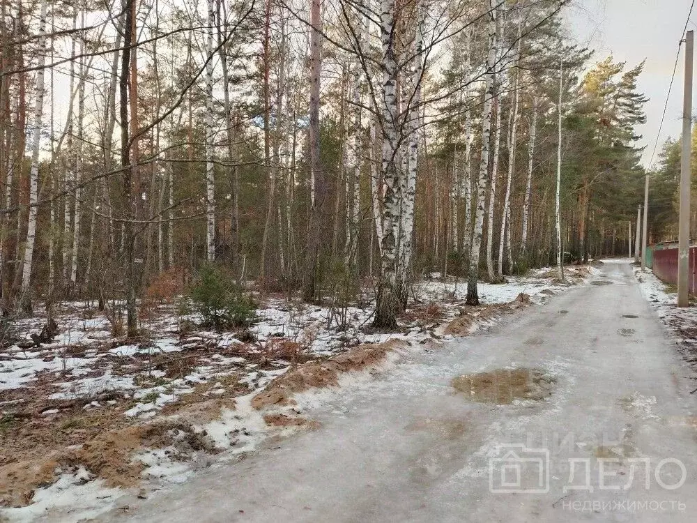 Участок в Рязанская область, Рязанский район, Дубровическое с/пос, с. ... - Фото 0