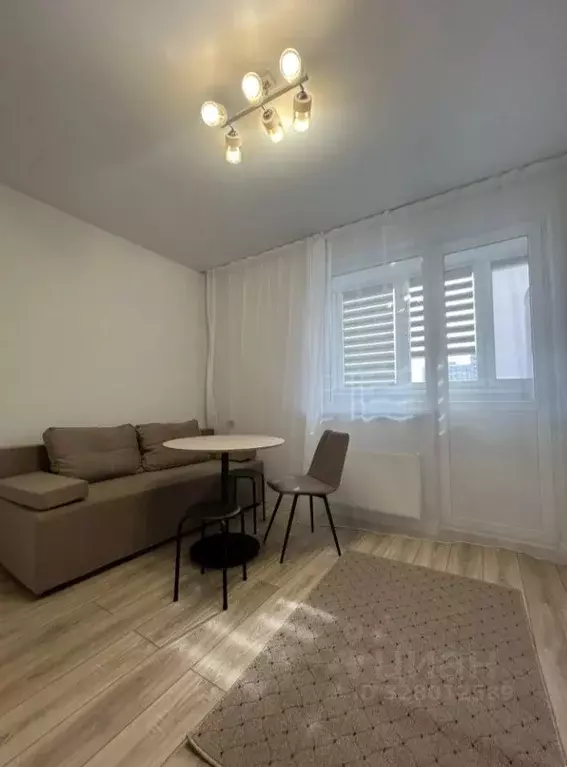 Студия Краснодарский край, Краснодар ул. Ивана Беличенко, 101 (24.0 м) - Фото 2