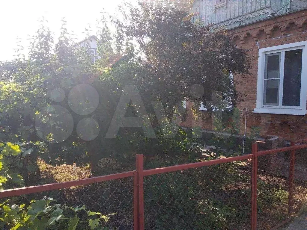 Купить Дом В Станице Ладожская Краснодарского