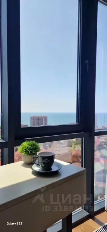 Студия Краснодарский край, Сочи ул. Ленина, 298Бк5 (30.0 м) - Фото 1