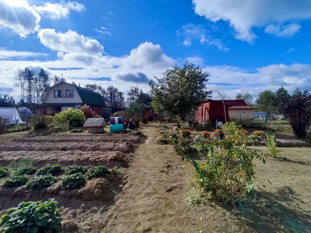 Дом в Ярославская область, Некрасовский муниципальный округ, Универсал ... - Фото 2