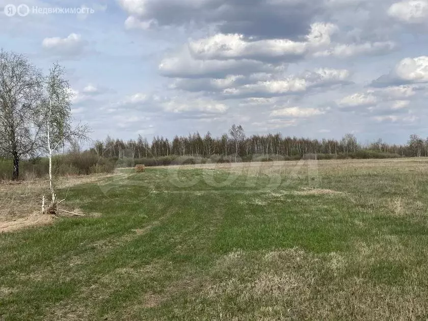 Участок в Тюмень, Центральный округ (9.2 м) - Фото 1