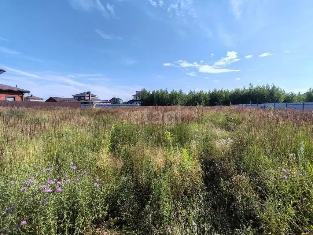 Участок в Нижегородская область, Балахнинский муниципальный округ, ... - Фото 1