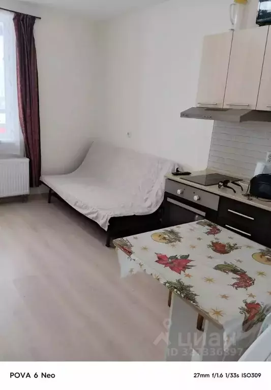 Студия Санкт-Петербург пос. Шушары, просп. Старорусский, 13к2 (21.0 м) - Фото 1
