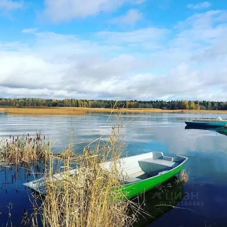 Участок в Ленинградская область, Выборгский район, Селезневское с/пос, ... - Фото 1