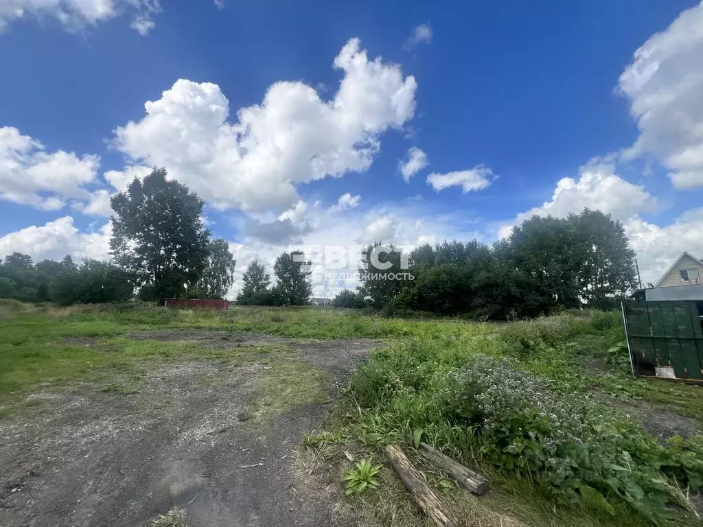 Участок в Кемеровская область, Полысаево г. Ленинск-Кузнецкий ... - Фото 1