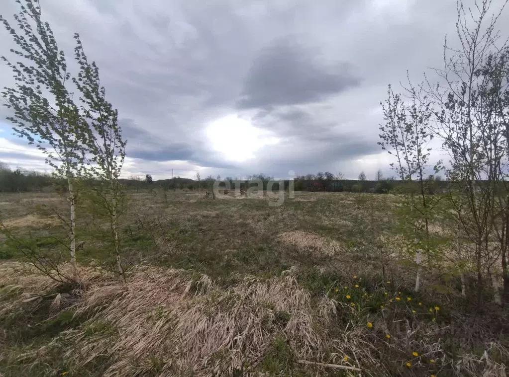 Участок в Свердловская область, Белоярский городской округ, д. Ялунина ... - Фото 1