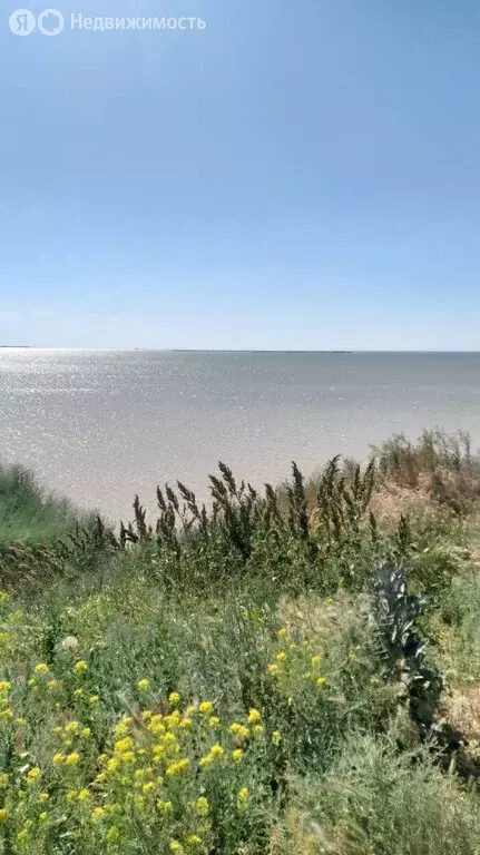 Участок в Шабельское, улица Кирова (20 м) - Фото 0