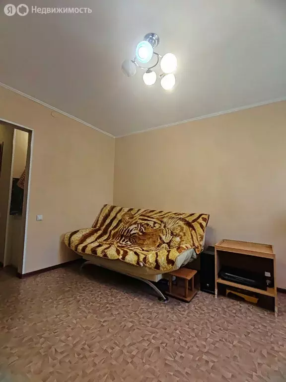 Квартира-студия: Барнаул, улица Малахова, 65 (17.7 м) - Фото 1