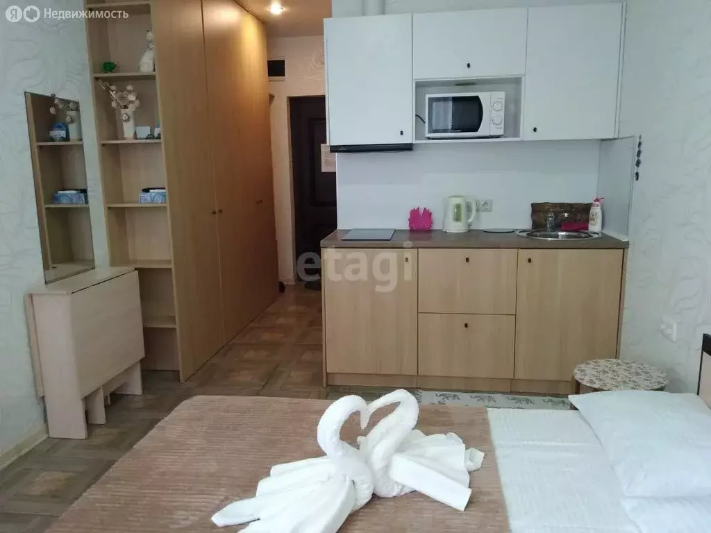 Квартира-студия: Адлер, улица Чкалова, 13 (18.1 м) - Фото 1