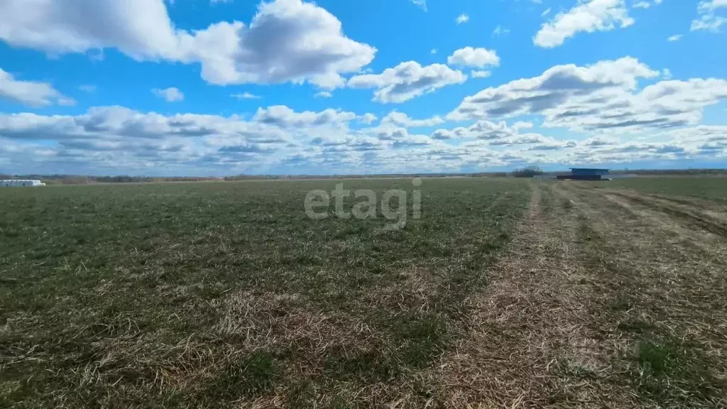 Участок в Коми, Сыктывдинский район, с. Выльгорт  (10.0 сот.) - Фото 0