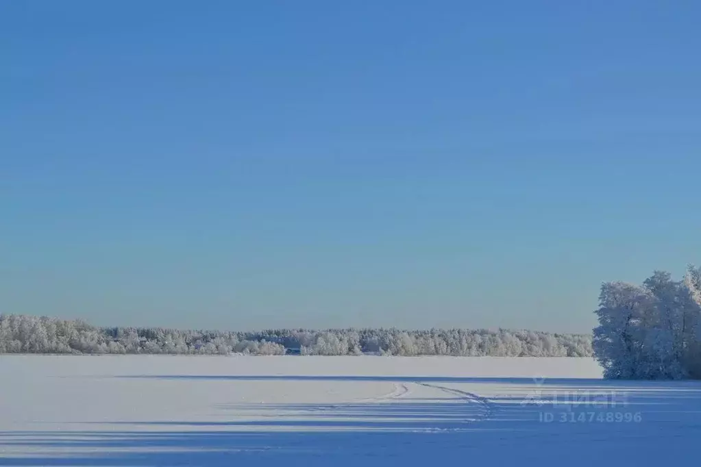 Участок в Ленинградская область, Выборгский район, Полянское с/пос, ... - Фото 1