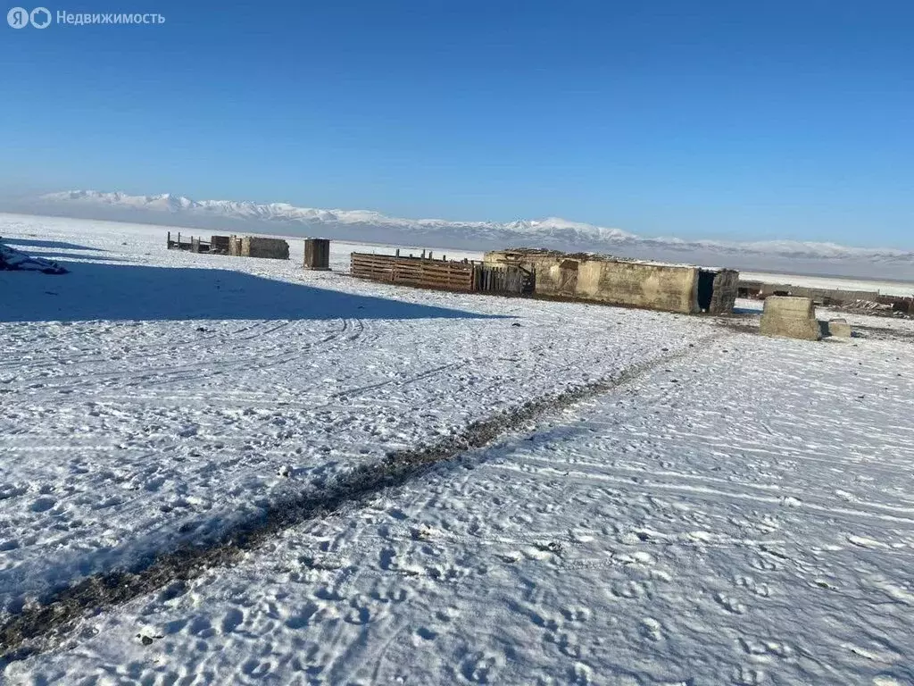 Дом в Кош-Агачский район, село Жана-Аул (37.1 м) - Фото 0