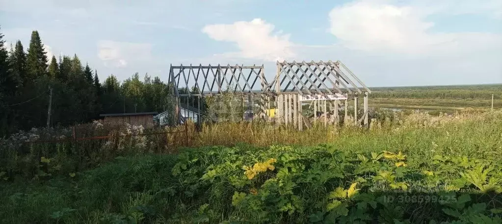 Участок в Коми, Сыктывдинский район, Зеленец муниципальное ... - Фото 1