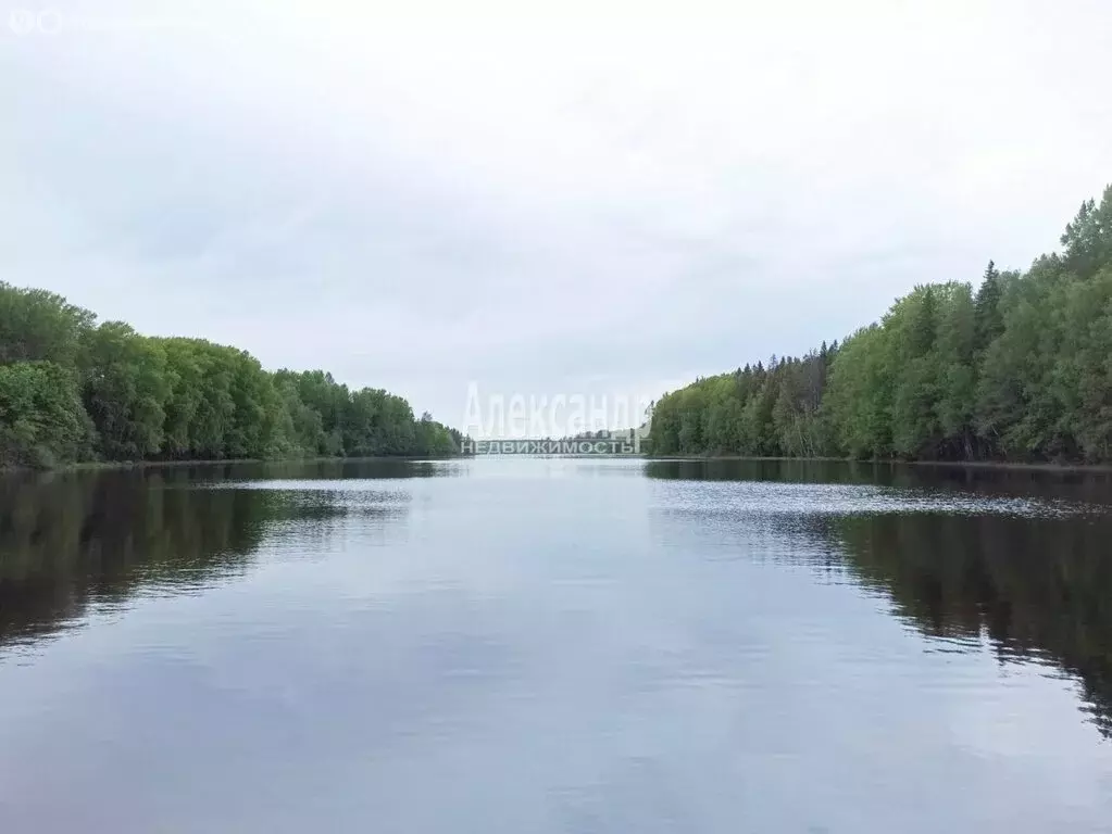 Участок в Выборгский район, Селезнёвское сельское поселение, посёлок ... - Фото 1