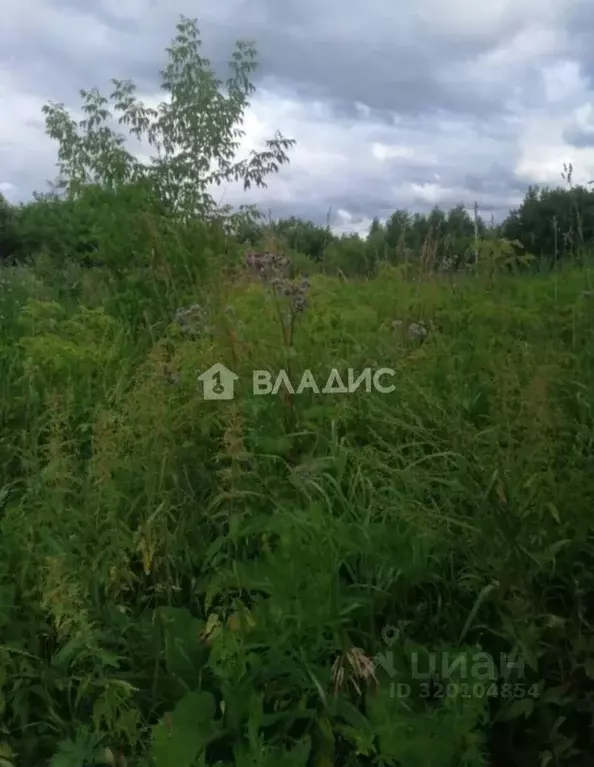 Дом в Кемеровская область, Кемерово Зашахтовая ул., 129 (38 м) - Фото 0