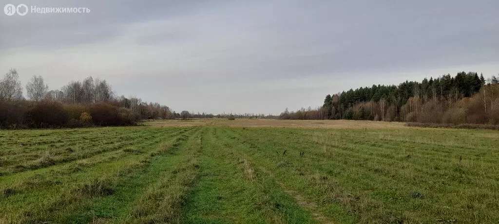 Участок в Московская область, городской округ Клин, рабочий посёлок ... - Фото 1