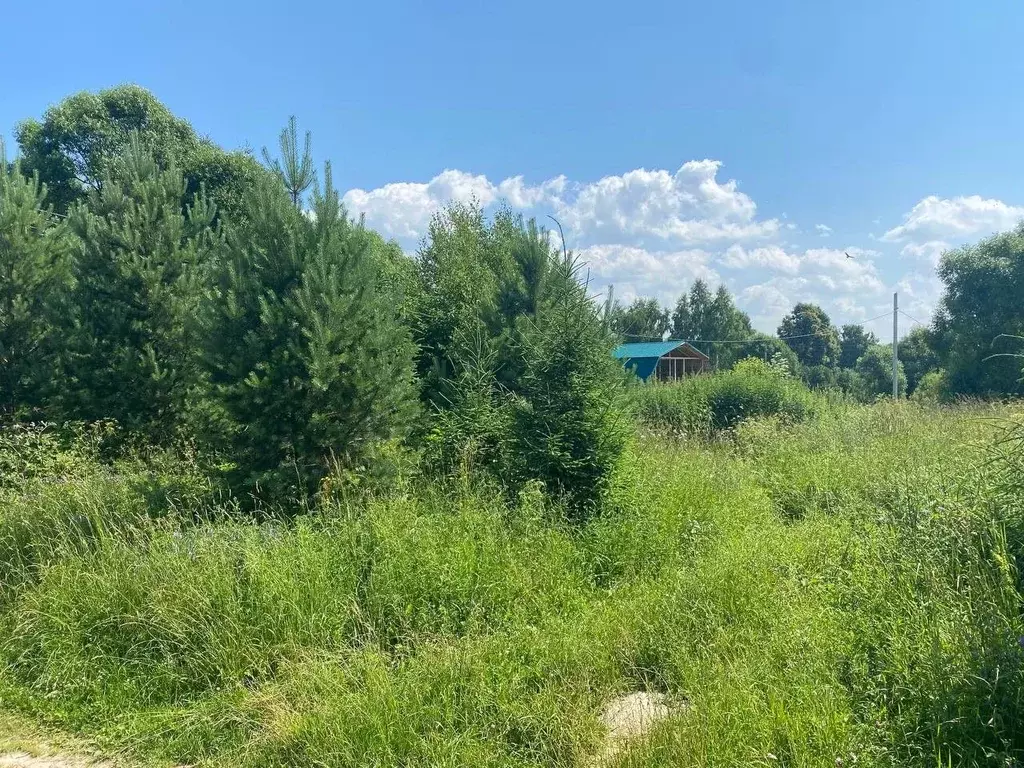 Участок в Московская область, Солнечногорск городской округ, д. ... - Фото 2