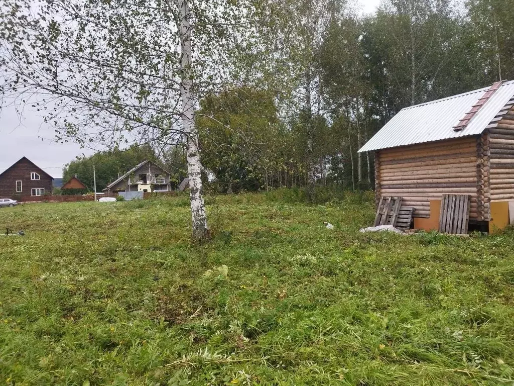 Участок в Кемеровская область, Кемеровский район, д. Смолино ... - Фото 1
