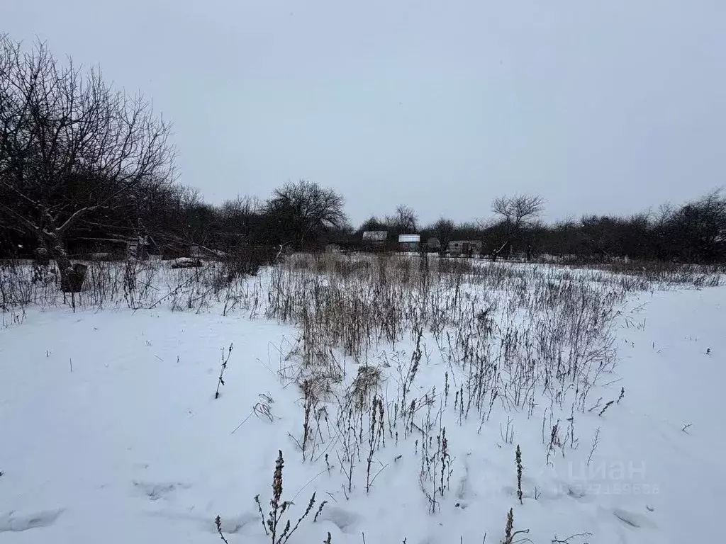 Участок в Белгородская область, Строитель Яковлевский городской округ, ... - Фото 2