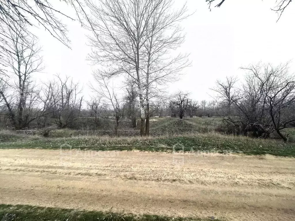 Участок в Волгоградская область, Среднеахтубинский район, Ахтубинское ... - Фото 2