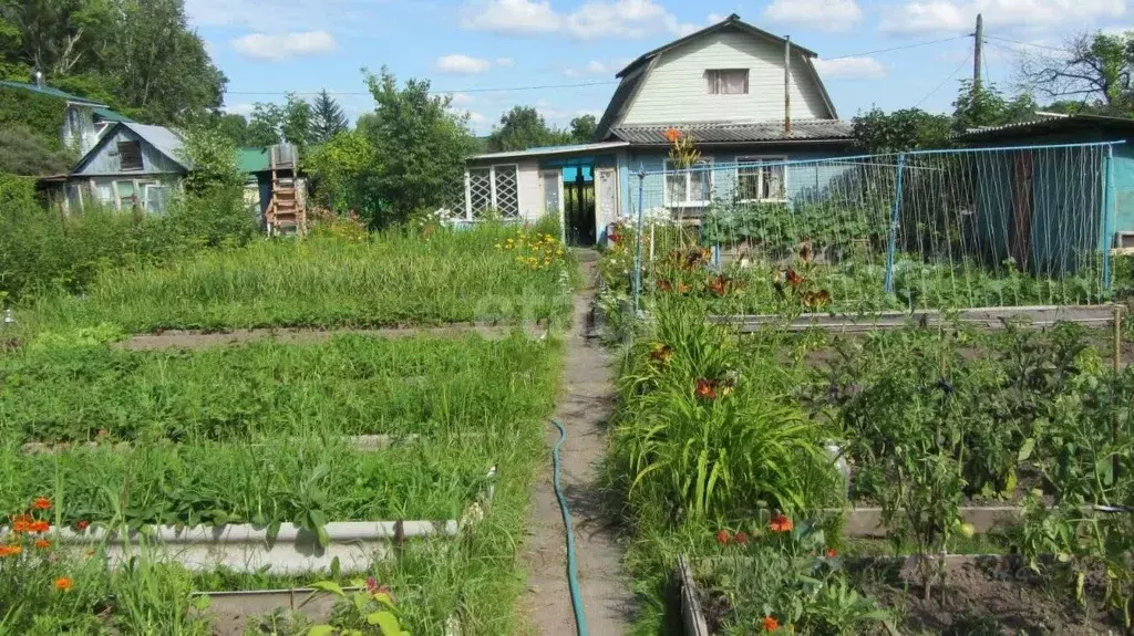 Дом в Хабаровский край, Хабаровский район, Ильинка с/пос, ... - Фото 1