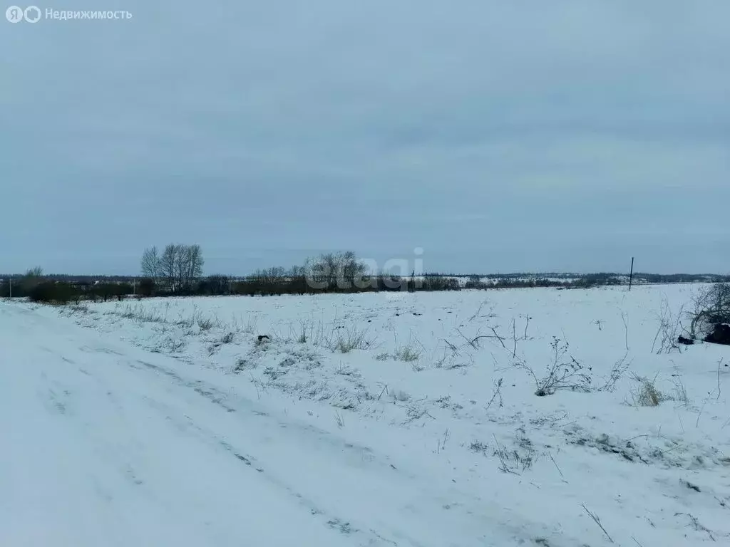 Участок в Тульская область, муниципальное образование Новомосковск, ... - Фото 1