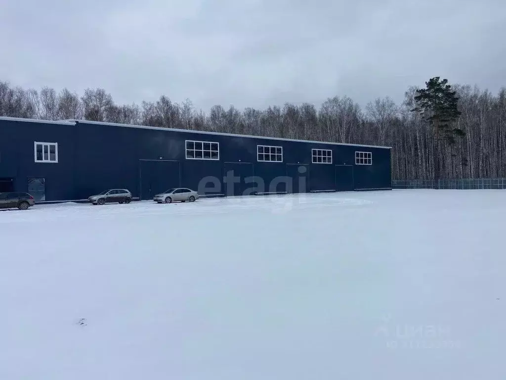 Помещение свободного назначения в Тюменская область, Тюменский район, ... - Фото 0